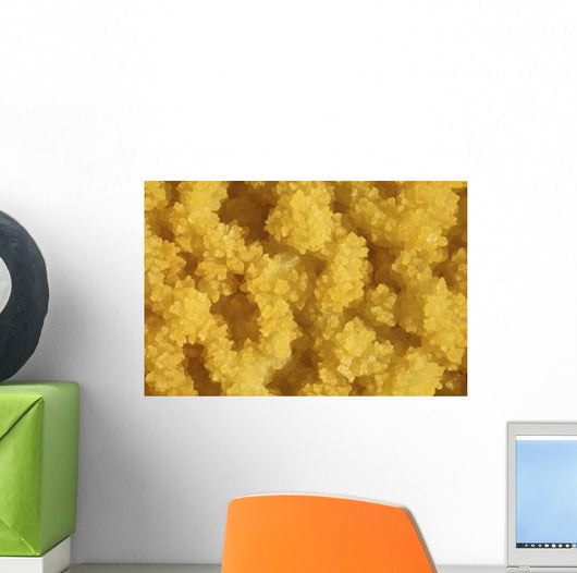 Close-up Yellow Salt Crystals Wall Decal Design 1