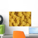 Close-up Yellow Salt Crystals Wall Decal Design 1