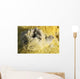 Potassium Salt Deposits Dallol Wall Decal Design 1