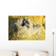Potassium Salt Deposits Dallol Wall Decal Design 1