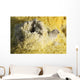 Potassium Salt Deposits Dallol Wall Decal Design 1