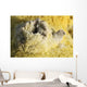 Potassium Salt Deposits Dallol Wall Decal Design 1