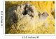 Potassium Salt Deposits Dallol Wall Decal Design 1