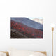 Lava Flow during Eruption Wall Decal Design 5