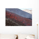 Lava Flow during Eruption Wall Decal Design 5