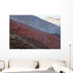 Lava Flow during Eruption Wall Decal Design 5