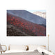 Lava Flow during Eruption Wall Decal Design 5