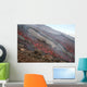 Lava Flow during Eruption Wall Decal Design 4