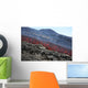 Lava Flow during Eruption Wall Decal Design 3