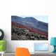 Lava Flow during Eruption Wall Decal Design 3