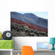 Lava Flow during Eruption Wall Decal Design 3