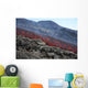 Lava Flow during Eruption Wall Decal Design 3