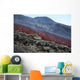 Lava Flow during Eruption Wall Decal Design 3
