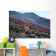 Lava Flow during Eruption Wall Decal Design 3