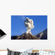 Eruption Ash Cloud from Wall Decal Design 3