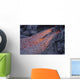 Close-up Lava Flow Kilauea Wall Decal