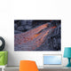 Close-up Lava Flow Kilauea Wall Decal