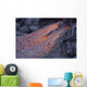 Close-up Lava Flow Kilauea Wall Decal