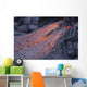 Close-up Lava Flow Kilauea Wall Decal