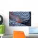 Advancing Lava Toe Lava Wall Decal
