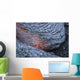 Advancing Lava Toe Lava Wall Decal