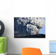 Ash Cloud Erupting from Wall Decal