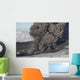 Ash Cloud Eruption Eyjafjatlaja Wall Decal