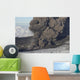 Ash Cloud Eruption Eyjafjatlaja Wall Decal