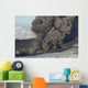 Ash Cloud Eruption Eyjafjatlaja Wall Decal