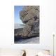 Aerial Ash Cloud Eruption Wall Decal Design 2