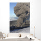 Aerial Ash Cloud Eruption Wall Decal Design 2