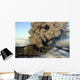 Aerial Ash Cloud Eruption Wall Decal Design 1