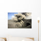 Eruption Volcanic Ash Summit Wall Decal Design 3