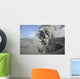 Eruption Volcanic Ash Summit Wall Decal Design 2