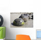 Moeraki Boulders Koekohe Beach Wall Decal Design 20