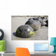 Moeraki Boulders Koekohe Beach Wall Decal Design 20