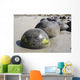 Moeraki Boulders Koekohe Beach Wall Decal Design 20