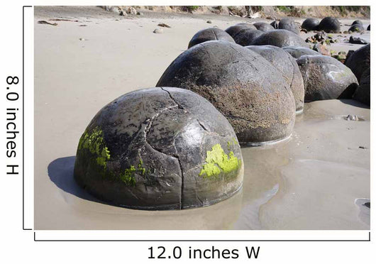 Moeraki Boulders Koekohe Beach Wall Decal Design 20