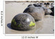 Moeraki Boulders Koekohe Beach Wall Decal Design 20