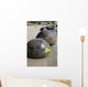 Moeraki Boulders Koekohe Beach Wall Decal Design 19