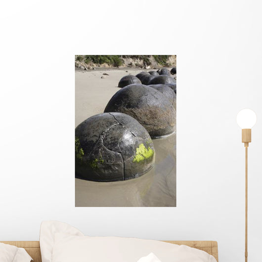 Moeraki Boulders Koekohe Beach Wall Decal Design 19
