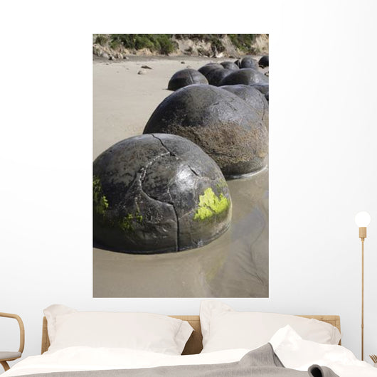 Moeraki Boulders Koekohe Beach Wall Decal Design 19