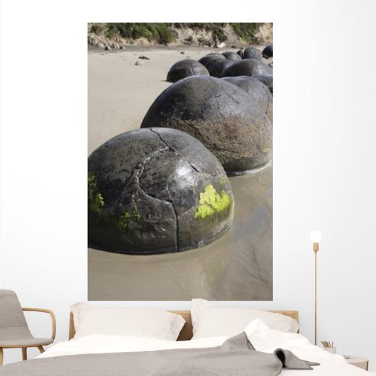 Moeraki Boulders Koekohe Beach Wall Decal Design 19