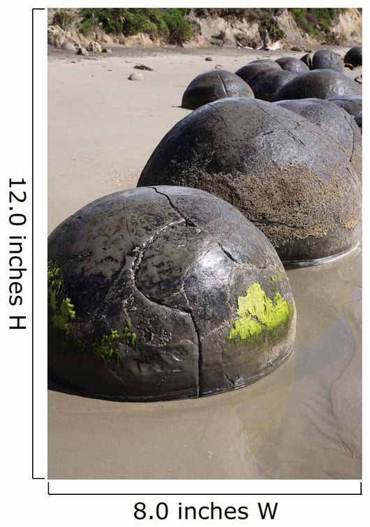 Moeraki Boulders Koekohe Beach Wall Decal Design 19