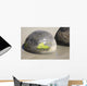 Moeraki Boulders Koekohe Beach Wall Decal Design 18