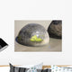 Moeraki Boulders Koekohe Beach Wall Decal Design 18