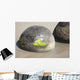 Moeraki Boulders Koekohe Beach Wall Decal Design 18