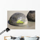 Moeraki Boulders Koekohe Beach Wall Decal Design 18