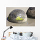 Moeraki Boulders Koekohe Beach Wall Decal Design 18