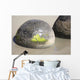 Moeraki Boulders Koekohe Beach Wall Decal Design 18